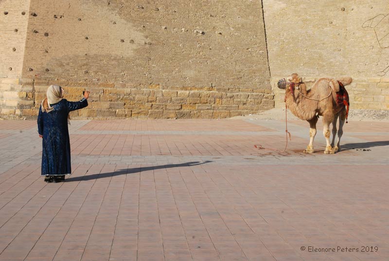 Usbekistan mit Frau und Kamel