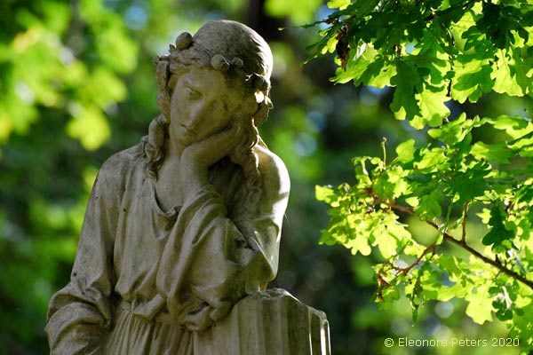 M&uuml;nchen, Westfriedhof 2020