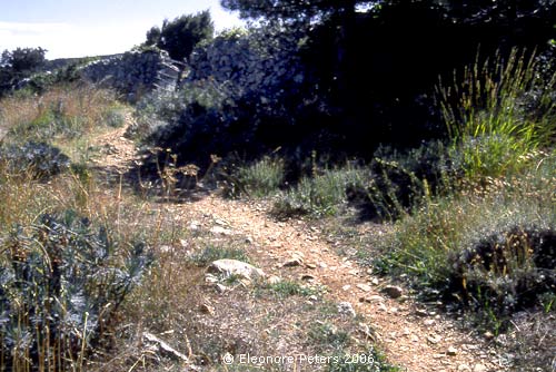 Wanderweg aufwärts