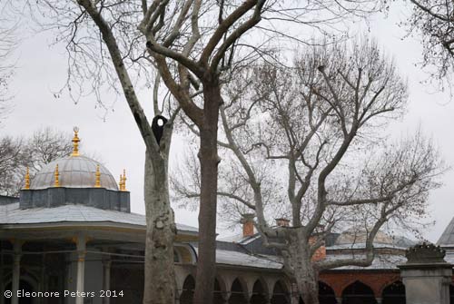 ehemalige Schatzkammer des Topkapi Palastes