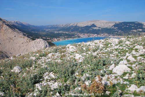 Krk Berg Ljubimer