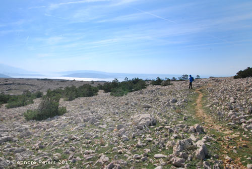 wandern auf dem Bratinac auf Krk