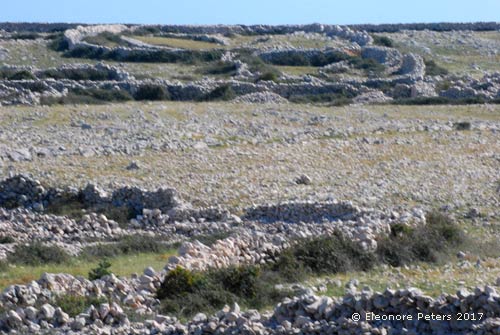 Krk Mondplateau