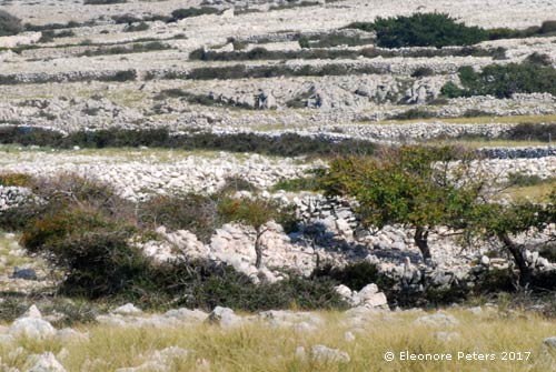 Krk Mondplateau