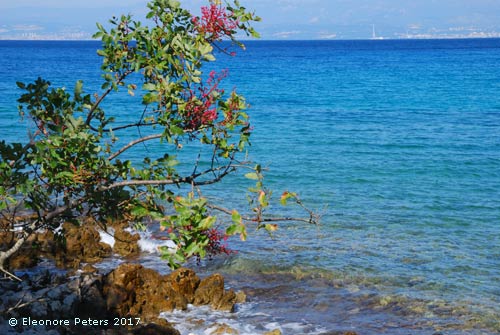 Insel Krk Zentrum Baska