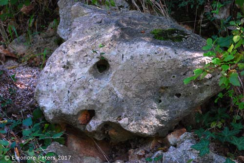 Steinerner Fisch