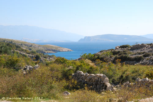 Petenova-Bucht Krk