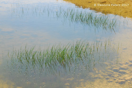 Krk Berg Sibenik Süßwasser