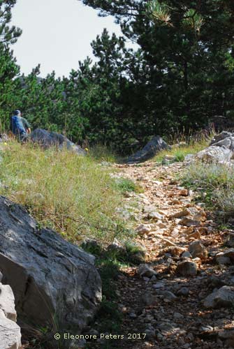 Krk Berg Zakam Wanderweg