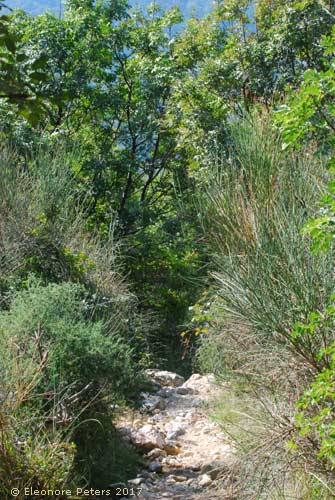 Krk Berg Zakam Wanderweg