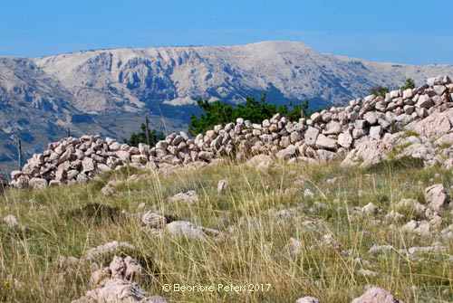 Insel Krk Berg Zakam