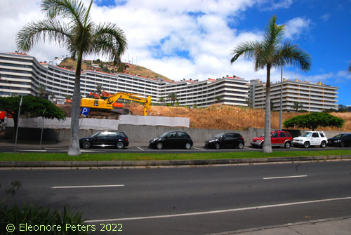 Madeira Bauboom