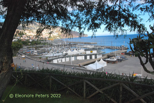 Funchal Segelhafen