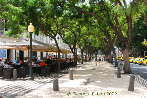 Funchal City elegante Straße