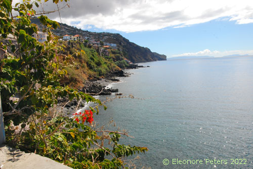 Madeira, Küste von Funchal