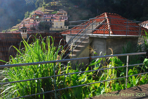 Madeira Levada-Wanderung