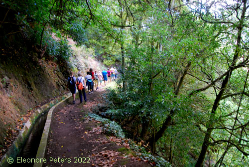 Madeira, Levada Wanderweg