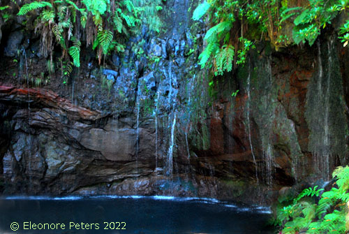 Levada 25 FountaMadeira