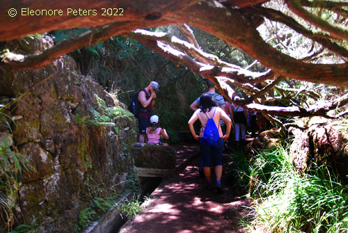 Levada 25 FountaMadeira