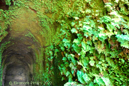 Levada 25 FountaMadeira
