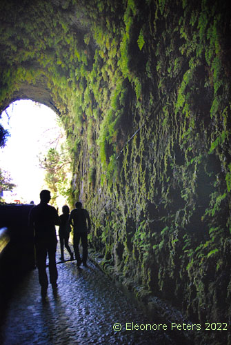 Levada 25 FountaMadeira