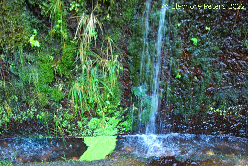 Levada 25 FountaMadeira