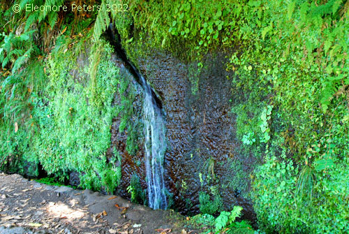 Levada 25 FountaMadeira