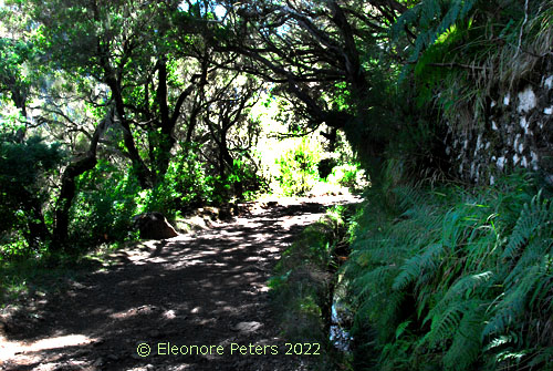 Levada 25 FountaMadeira