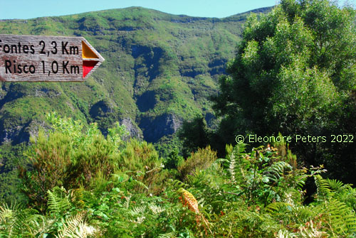 Levada 25 FountaMadeira