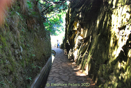 Levada 25 FountaMadeira