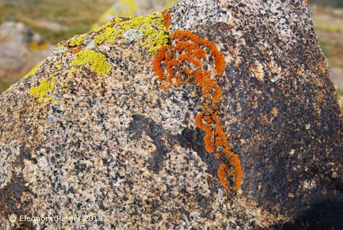 Issyk-Kul-See Felsen