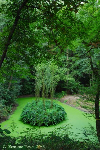 Barkenhoff Wald