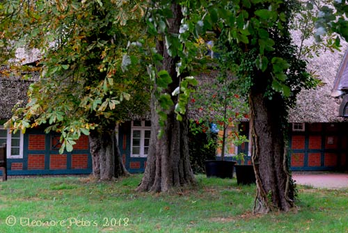 Rathaus von Worpswede im alten Dorfkern