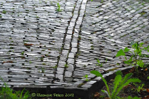Worpswede uraltes Schieferplaster
