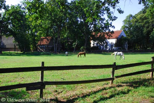 Fischerhude Dorfwiese