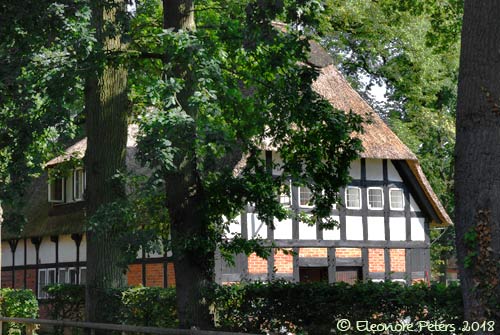Reet gedecktes Bauernhaus in Fischerhude