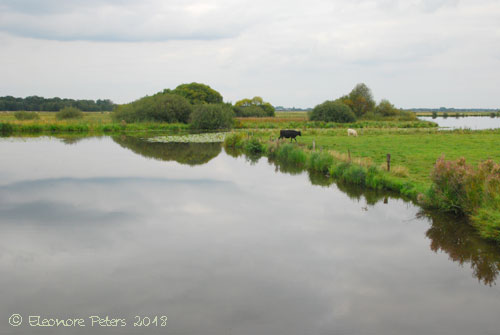 breiter Moorgraben