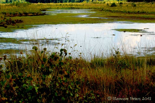 Teufelsmoor See
