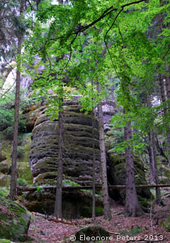 Baumkuchenartiges Gestein