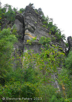 Birken vor hohem Felsen