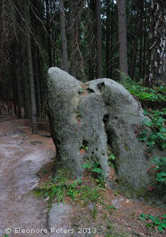 Stein in Form eines Delfins