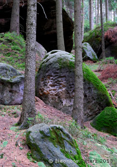 Felsen und Wald