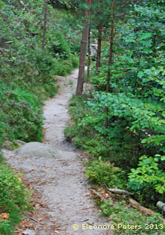 Waldweg