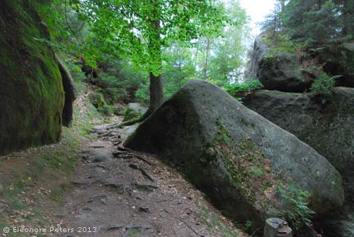 Weg zwischen Felsen mit Wurzeln