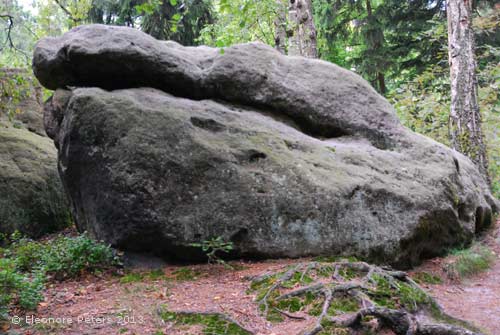 Stein mit Mund