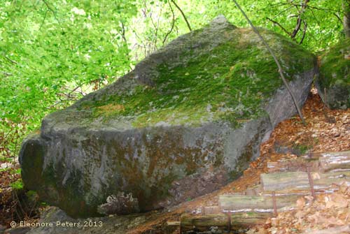 flacher bemooster Felsen