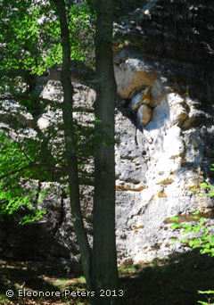Gesteinsform