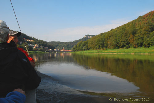Elbe bei Bad Schandau Elbsandstein