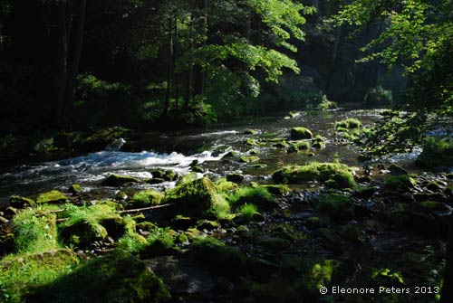 Wildbach böhmische Schweiz