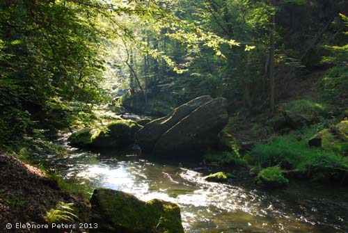 Wildbach böhmische Schweiz